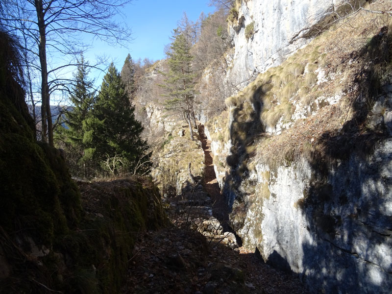 Forra del Lupo - Serrada (TN)